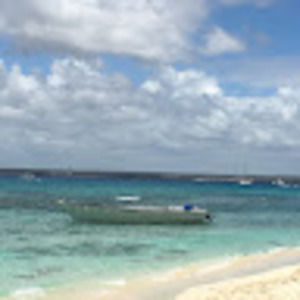 Meet your Posher, Phillip